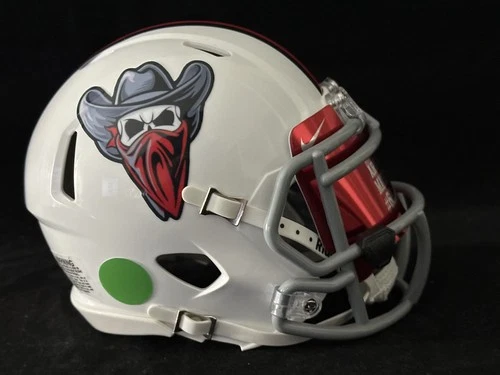 Custom High School Mini Helmets