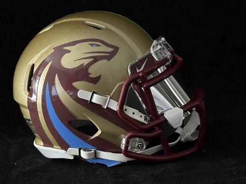 Michigan Panthers Mini Helmet with chrome visor!