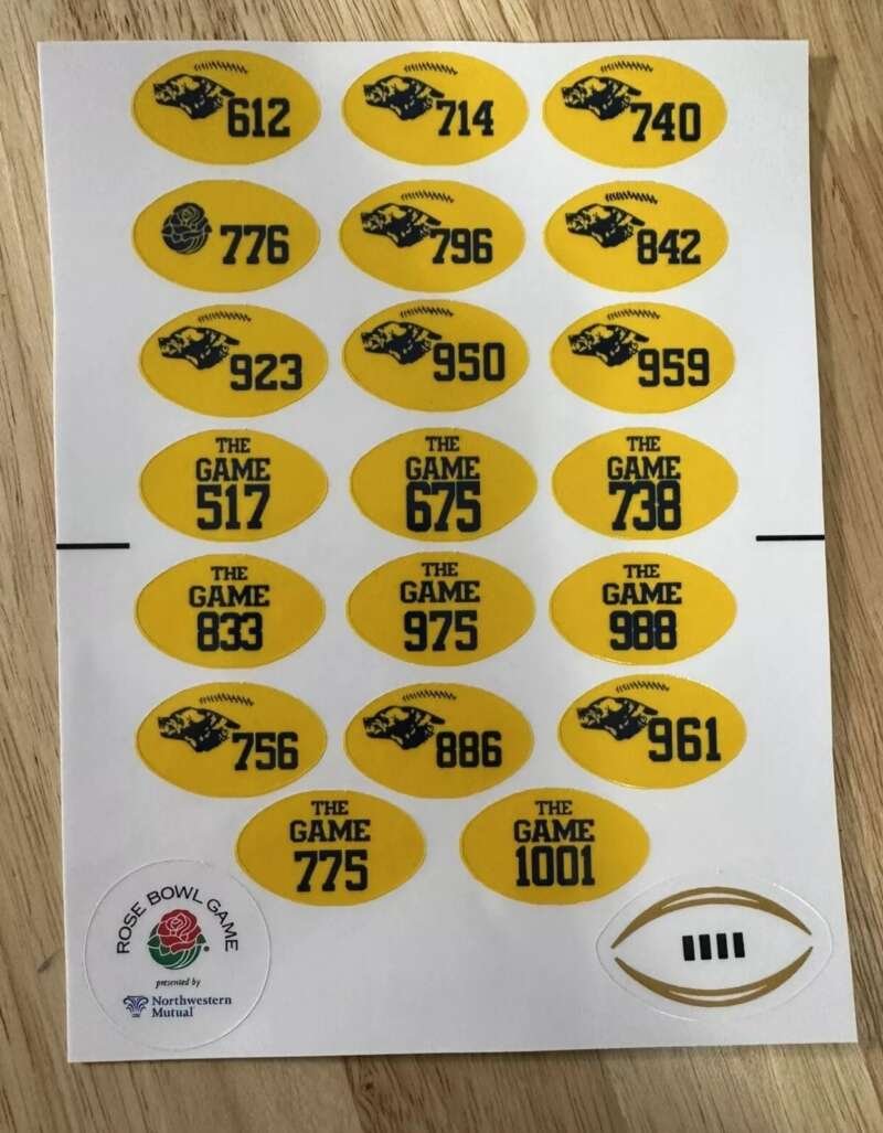 Michigan 2023/2024 Vinyl Award Decals Full Size